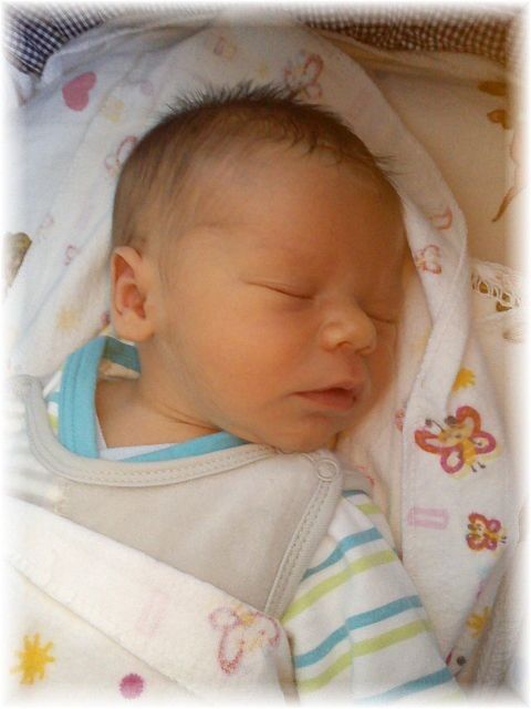 2012_043.jpg - 264621 Bytes