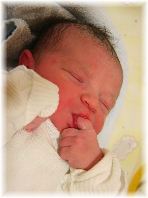 2012_044.jpg - 264621 Bytes