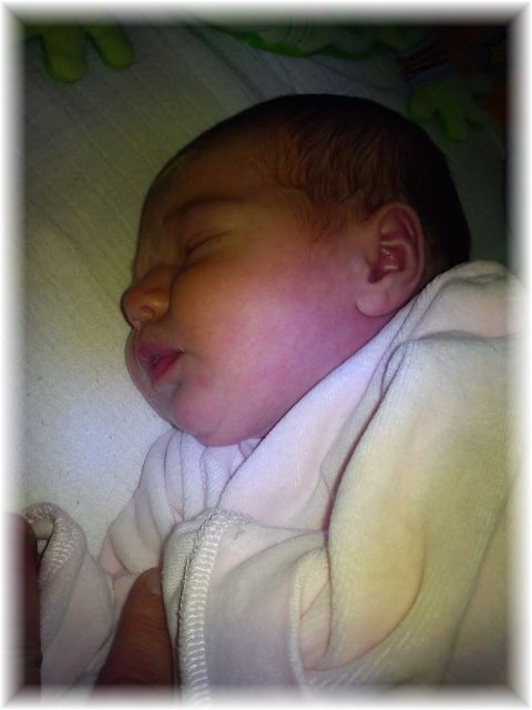 2012_045.jpg - 264621 Bytes