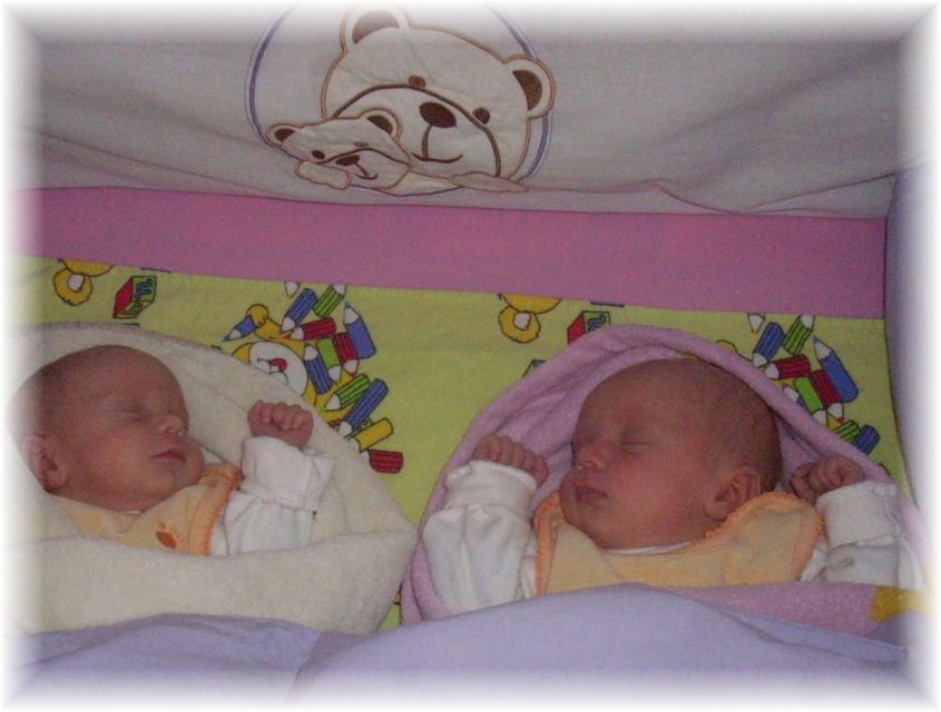 2012_046.jpg - 64262 Bytes