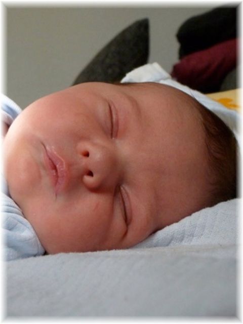 2012_047.jpg - 26756 Bytes