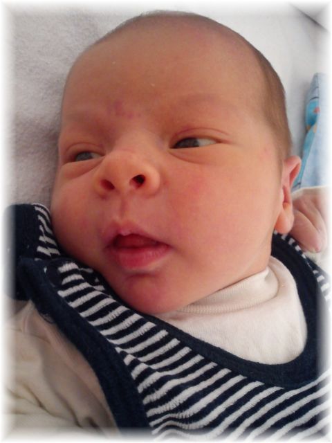 2012_048.jpg - 26756 Bytes