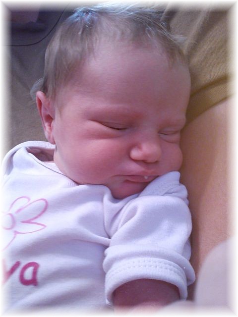 2012_049.jpg - 26756 Bytes