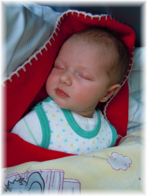 2012_052.jpg - 26756 Bytes