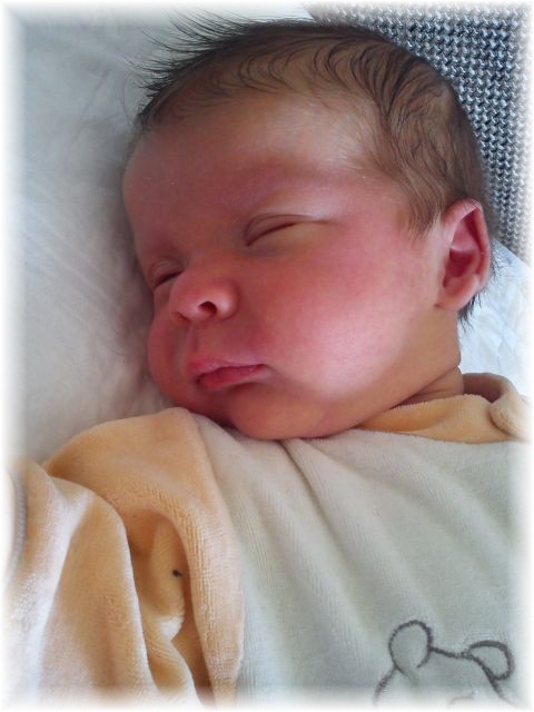 2012_053.jpg - 26756 Bytes