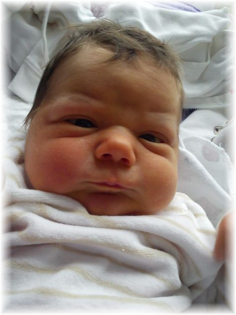 2012_056.jpg - 26756 Bytes