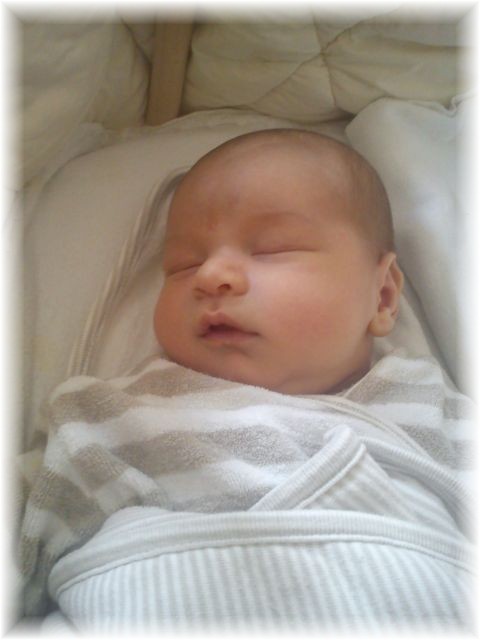 2012_057.jpg - 26756 Bytes