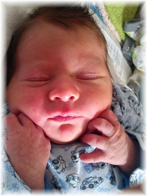 2012_059.jpg - 26756 Bytes