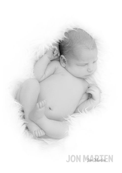 2012_060.jpg - 26756 Bytes