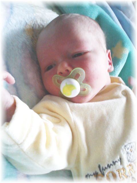 2012_061.jpg - 26756 Bytes