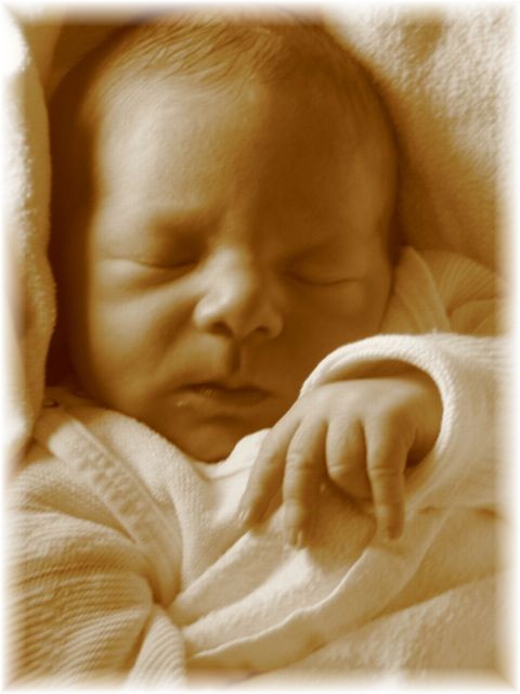 2012_062.jpg - 26756 Bytes