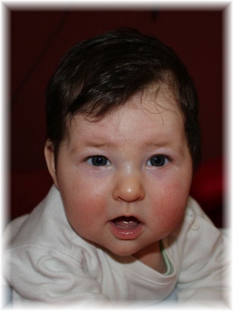 005_13.jpg - 55448 Bytes