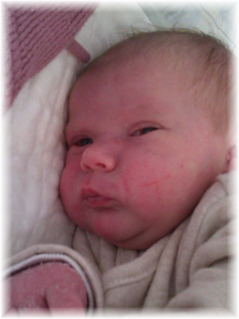 007_13.jpg - 55448 Bytes