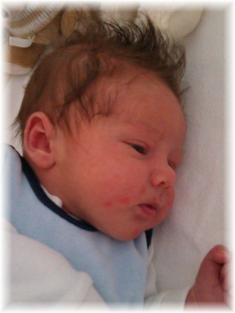 008_13.jpg - 55448 Bytes