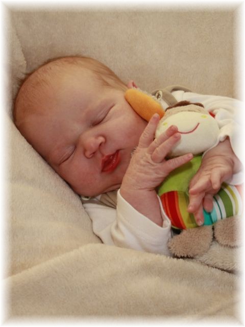 010_13.jpg - 55448 Bytes