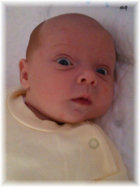 011_13.jpg - 55448 Bytes