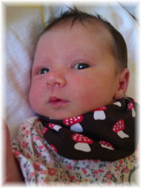 014_13.jpg - 55448 Bytes