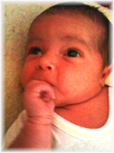 015_13.jpg - 55448 Bytes