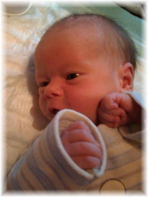 023_13.jpg - 55448 Bytes