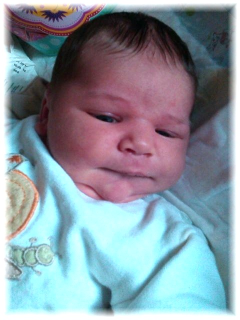 024_13.jpg - 55448 Bytes