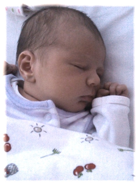 025_13.jpg - 55448 Bytes