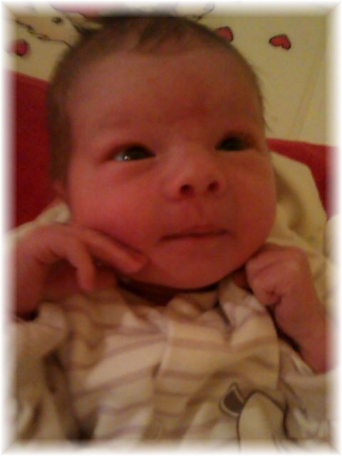 031_13.jpg - 55448 Bytes