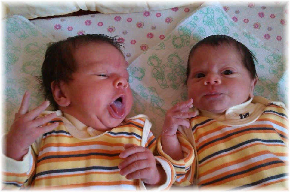 033_13.jpg - 55448 Bytes