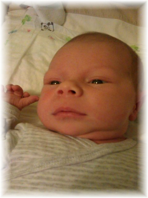 036_13.jpg - 55448 Bytes