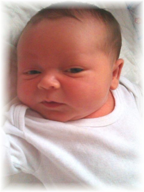 040_13.jpg - 55448 Bytes