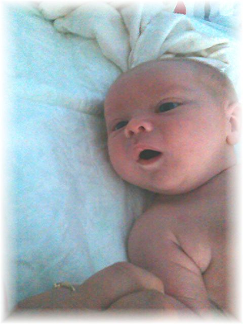 044_13.jpg - 55448 Bytes