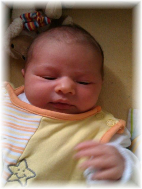 046_13.jpg - 55448 Bytes