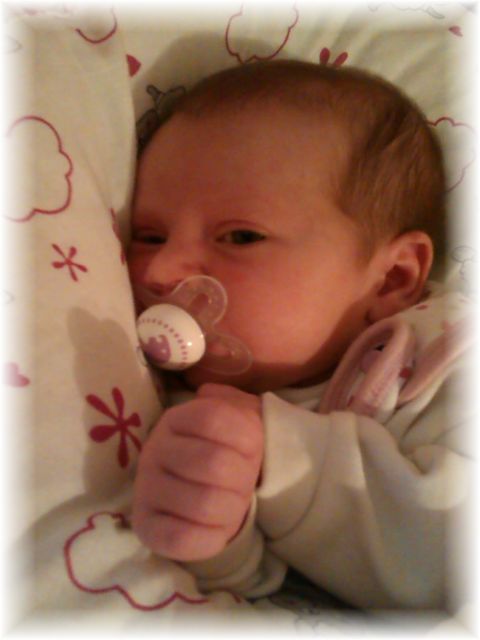 048_13.jpg - 55448 Bytes