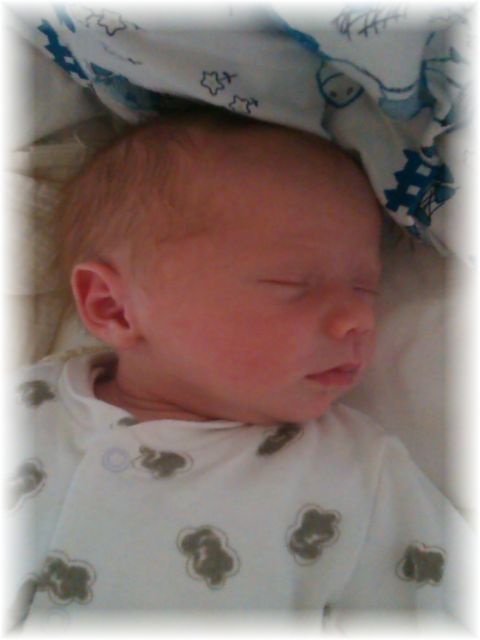 050_13.jpg - 55448 Bytes