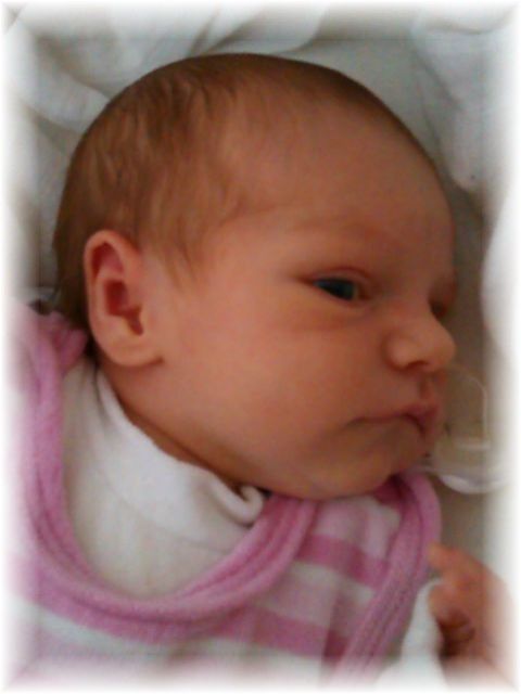 055_13.jpg - 55448 Bytes