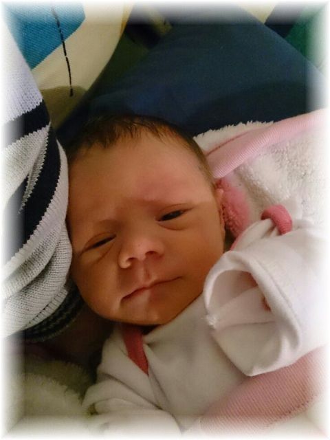 061_13.jpg - 55448 Bytes