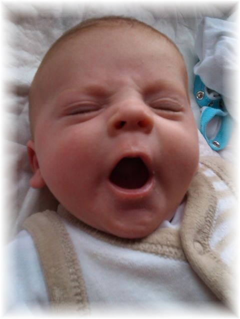 010_14.jpg - 55448 Bytes