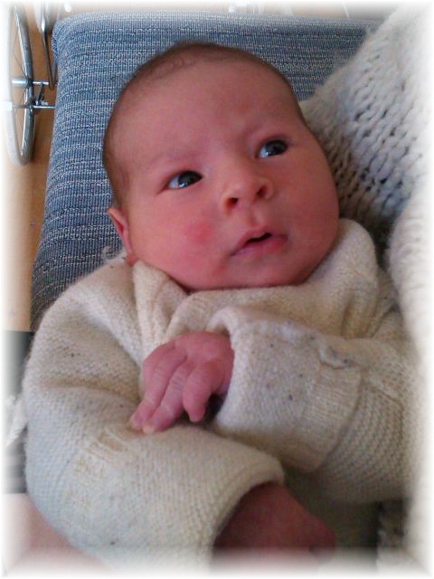 012_14.jpg - 55448 Bytes