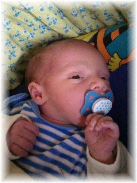 015_14.jpg - 55448 Bytes