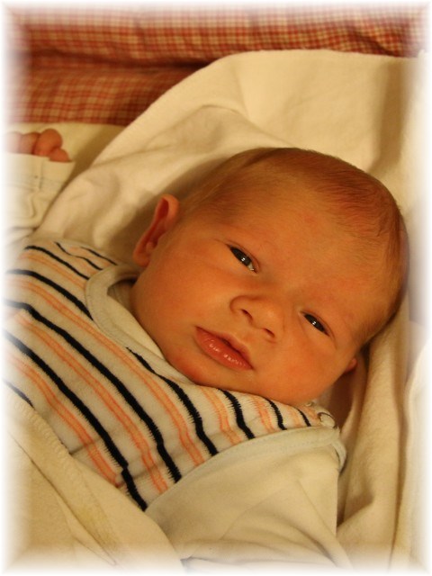 018_14.jpg - 55448 Bytes