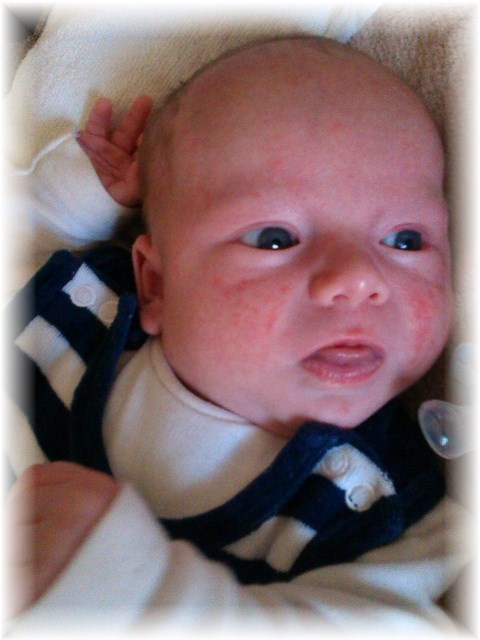 020_14.jpg - 55448 Bytes