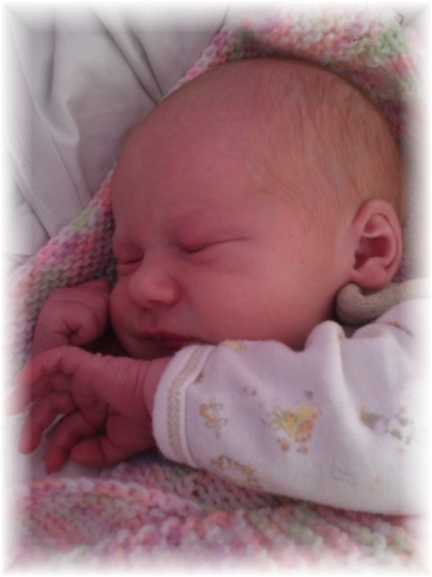 027_14.jpg - 55448 Bytes