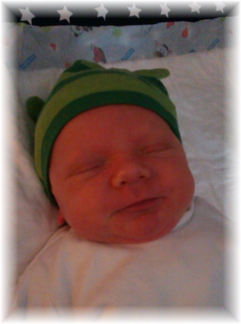 029_14.jpg - 55448 Bytes