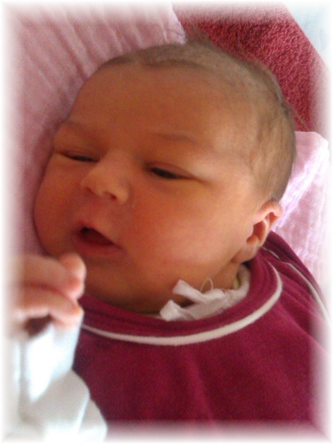 030_14.jpg - 55448 Bytes