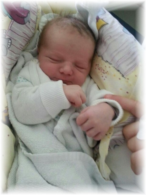 033_14.jpg - 55448 Bytes