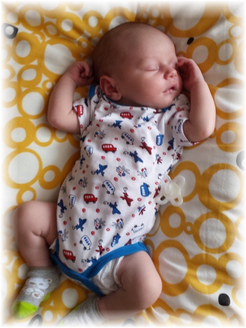 036_14.jpg - 72825 Bytes