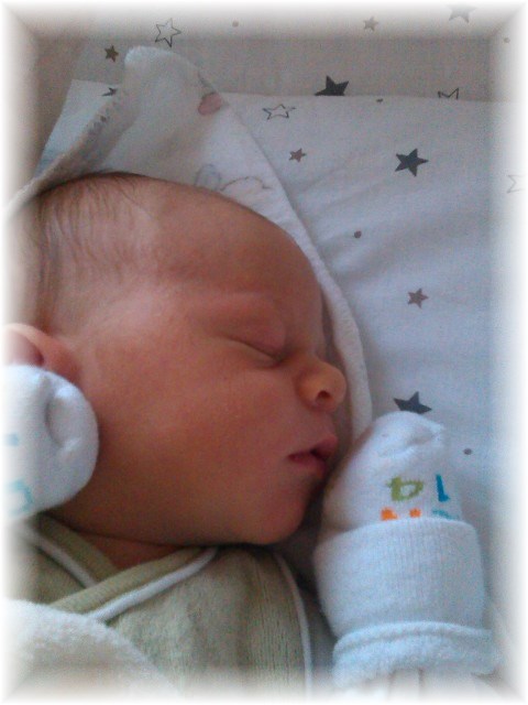 040_14.jpg - 55448 Bytes