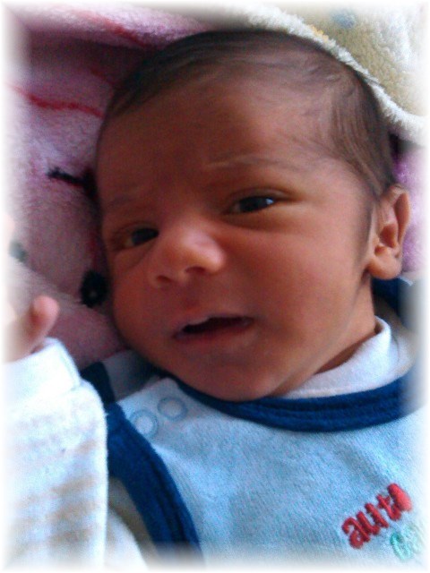 051_14.jpg - 60341 Bytes