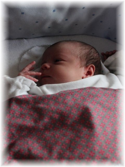 062_14.jpg - 60341 Bytes