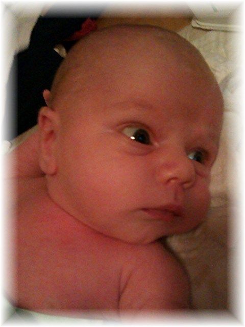 065_14.jpg - 60341 Bytes