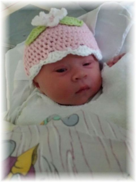 2015_002.jpg - 47470 Bytes